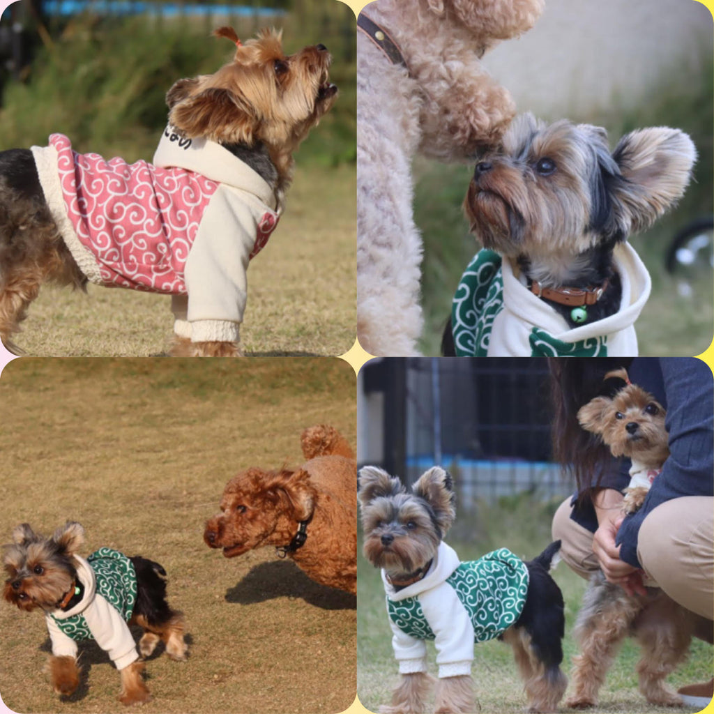 唐草模様 常盤色&長春色でワンちゃんのお洋服